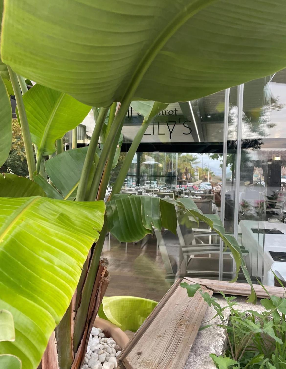 Studio 28 M2 Porticcio Centre מראה חיצוני תמונה